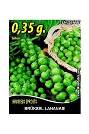 PAKET%20TOHUM%20-%20BRÜKSEL%20LAHANA