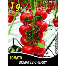 PAKET%20TOHUM%20-%20%20CHERRY%20DOMATES%20-%20ÇERİ